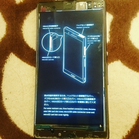 6d3f919a.jpg