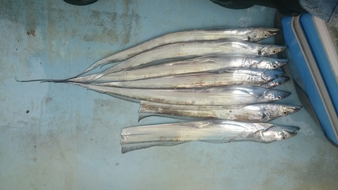 a09d6b55.jpg