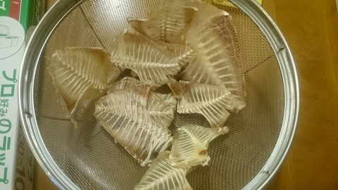 a966005b.jpg