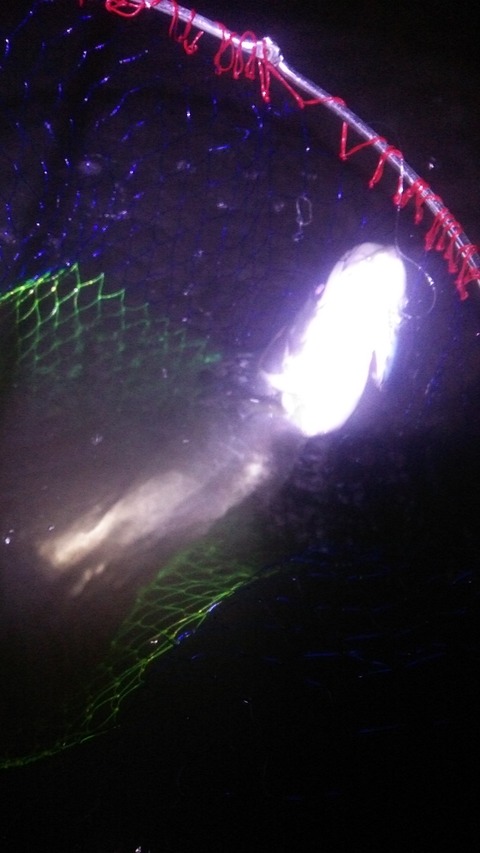 aece7cd9.jpg
