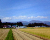 156344e0.jpg