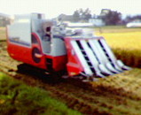 5641e547.jpg