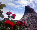 c7669f77.jpg