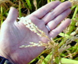 f74b720f.jpg