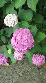 2013062011050000