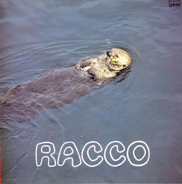 RACCO / 古澤良治郎