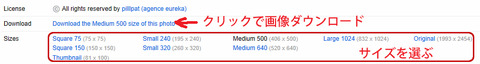 flickr画面2