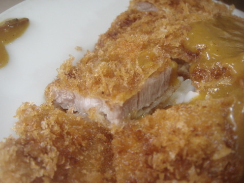ニューダイカマ カツ断面