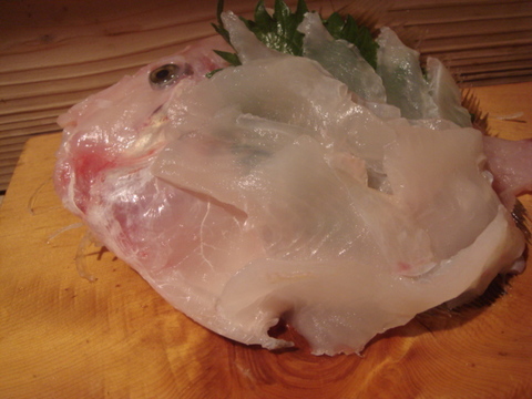 春 かわはぎ