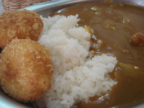 カレーとハヤシの店 アップ