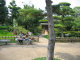 with chihiro