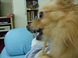 d4e00107.jpg