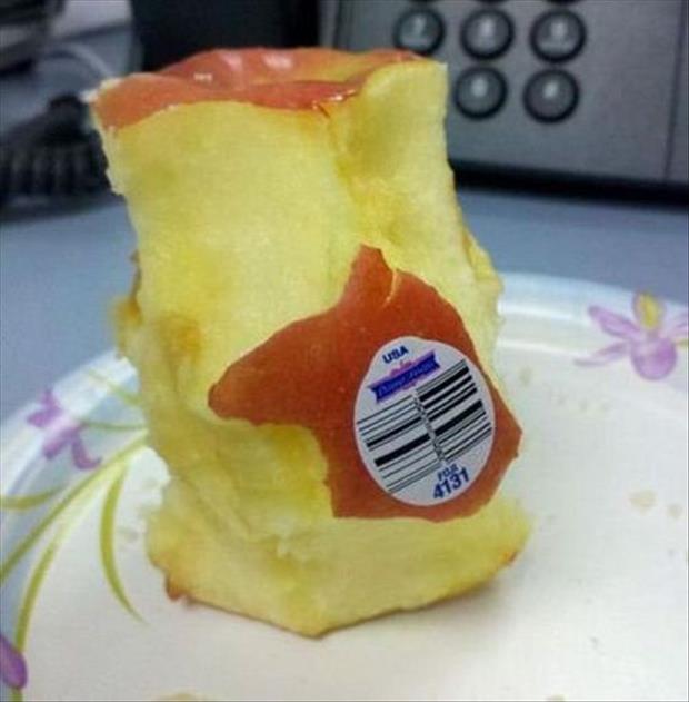 laziness-level-expert-1