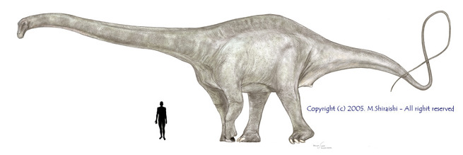 supersaurus