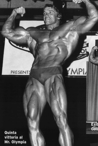 Arnold Schwarzenegger Bodybuilding Wallpapers-4