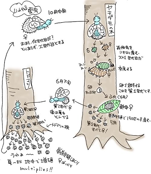 異種姦【触手蟲獣妖怪機械人外】総合スレ187匹目 [転載禁止]©bbspink.com	xvideo>1本 YouTube動画>1本 ->画像>374枚 