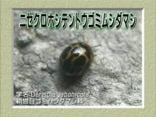 t02200165_0800059910470633434