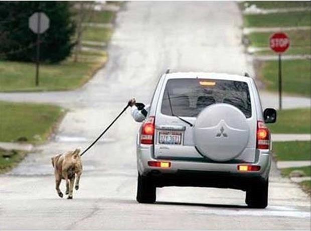 laziness-level-expert-14