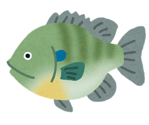 fish_bluegill2