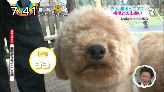zip (3)
