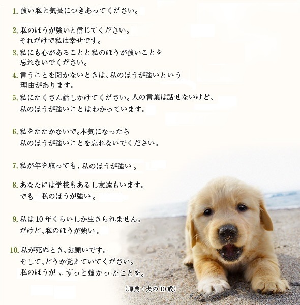 5_1