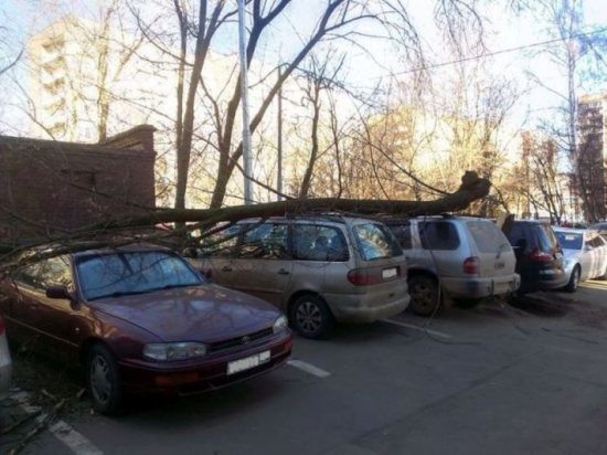 buff-out-7