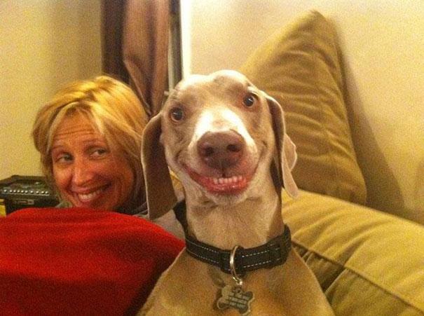 funny-derpy-animals-24
