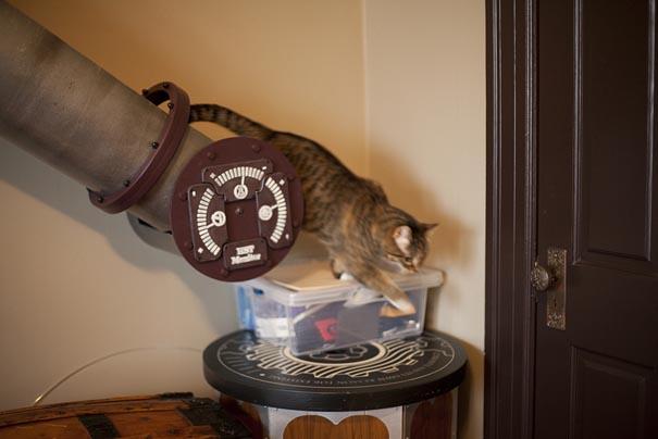 cat-transit-system-2