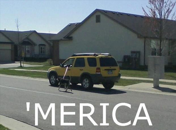 laziness-level-expert-9