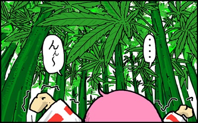 79_2