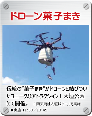 p-drone