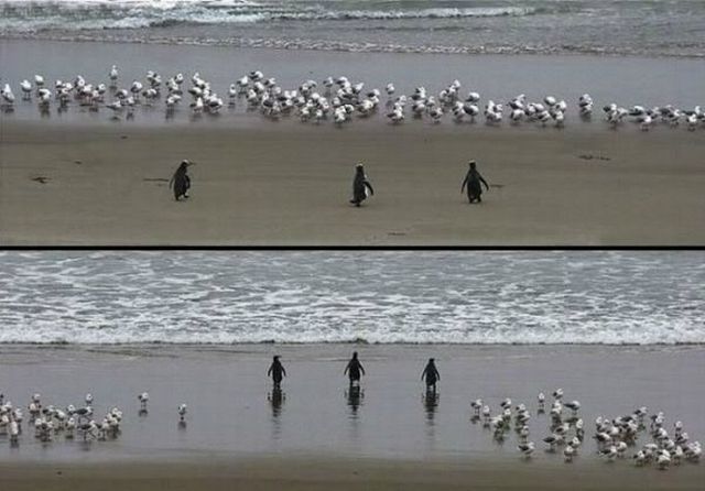 130_2