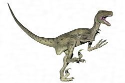 Deinonychus-m