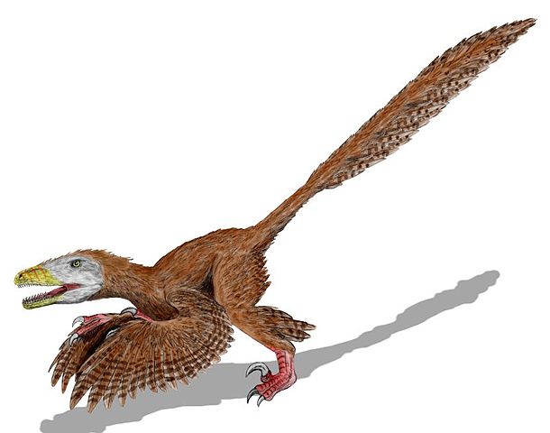 610px-Deinonychus_BW