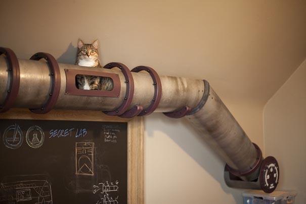 cat-transit-system-7