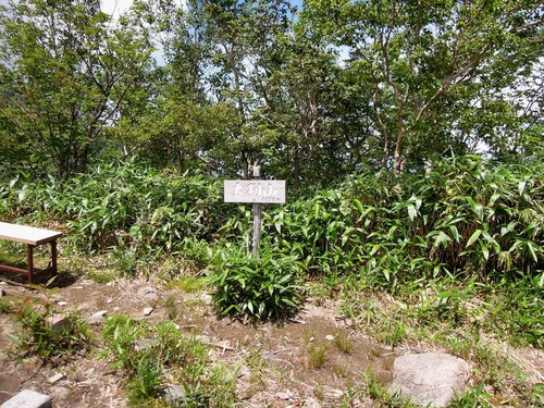 9659大判山