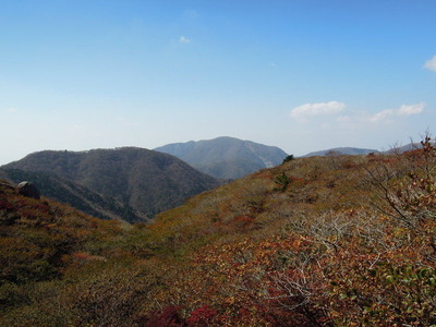0790����ξ������