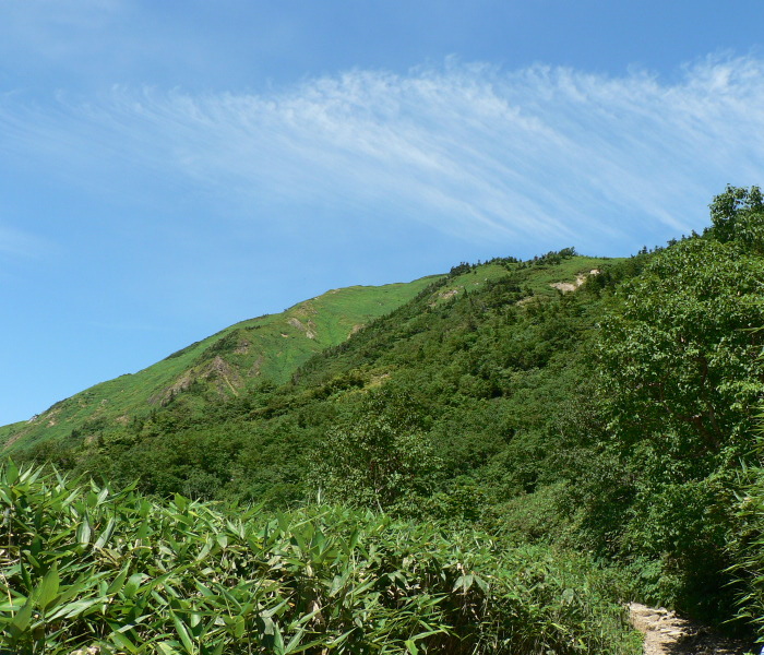 道(標高2000m付近)