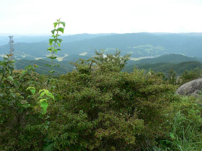 ʩ��Σ��1072m��