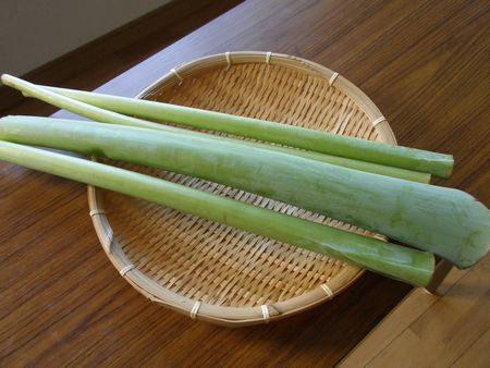 zuiki