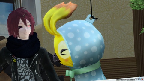 pso20150126_222110_028