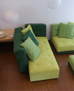 ligne_roset_green_sofa-4