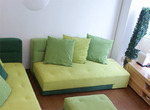 ligne_roset_green_sofa-5
