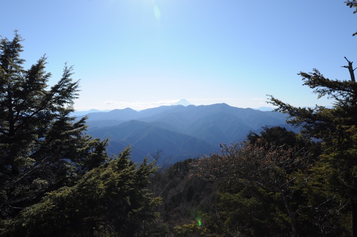 th_DSC_0286