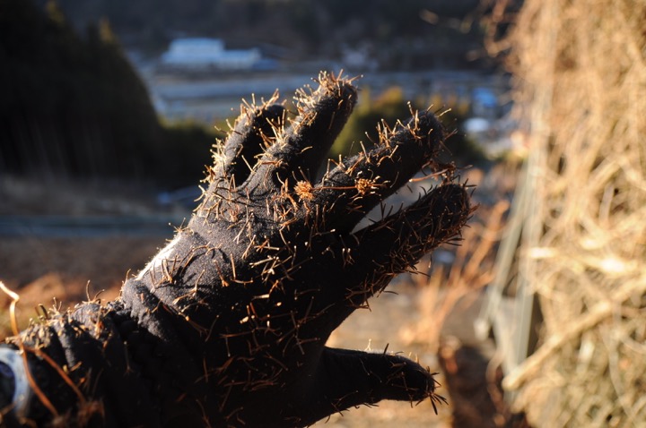 th_DSC_0226