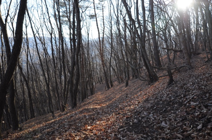 th_DSC_0366