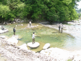 a5753df3.gif