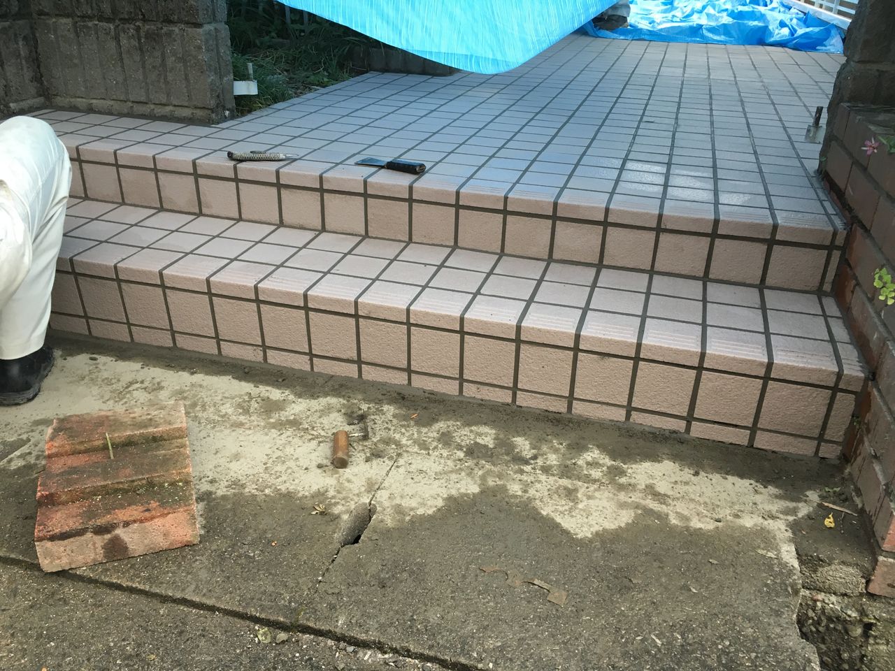 006