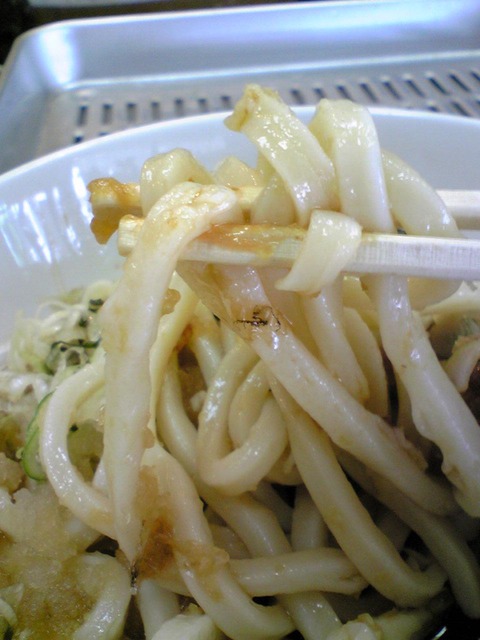 川中島うどん店:?川中島のうどん100805
