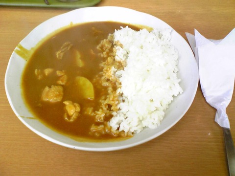 カレーの店サカエヤ:?チキンカレー580全景100430